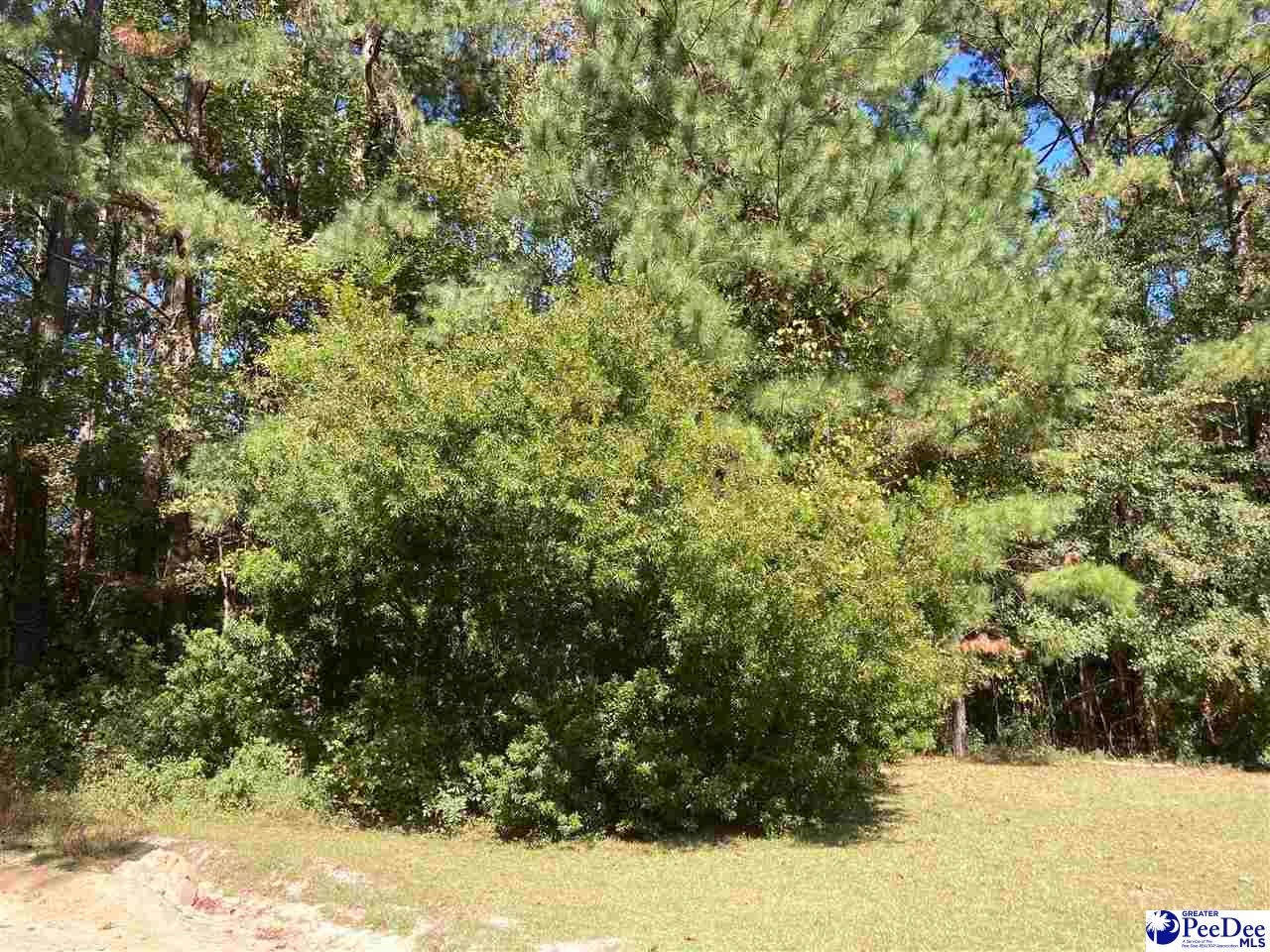 Tbd Old Kemper Road Lake View, SC 29563 - Photo 1 of 6 Gallery Image 1