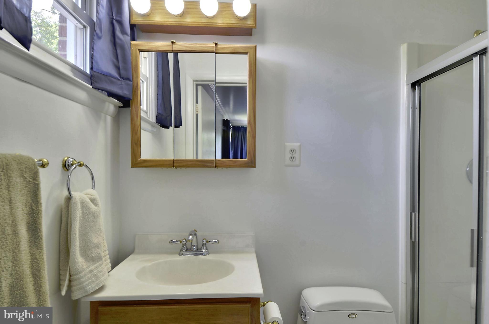 223 Rollingfield Road Catonsville, MD 21228 - Photo 18 of 30 Bath (Master) with shower