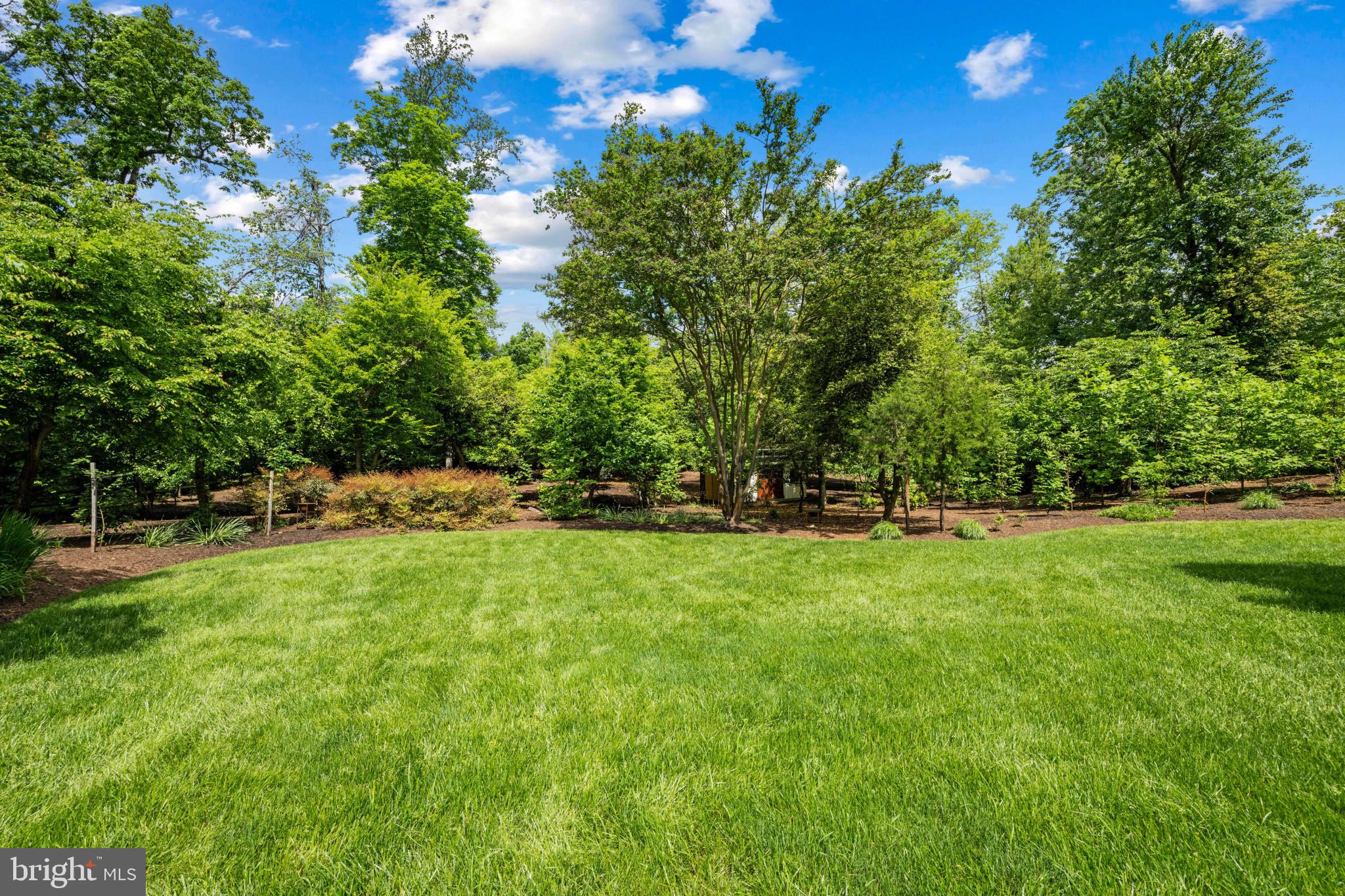 42 Poplar Point Road Edgewater, MD 21037 - Photo 54 of 63 a view of yard with green space