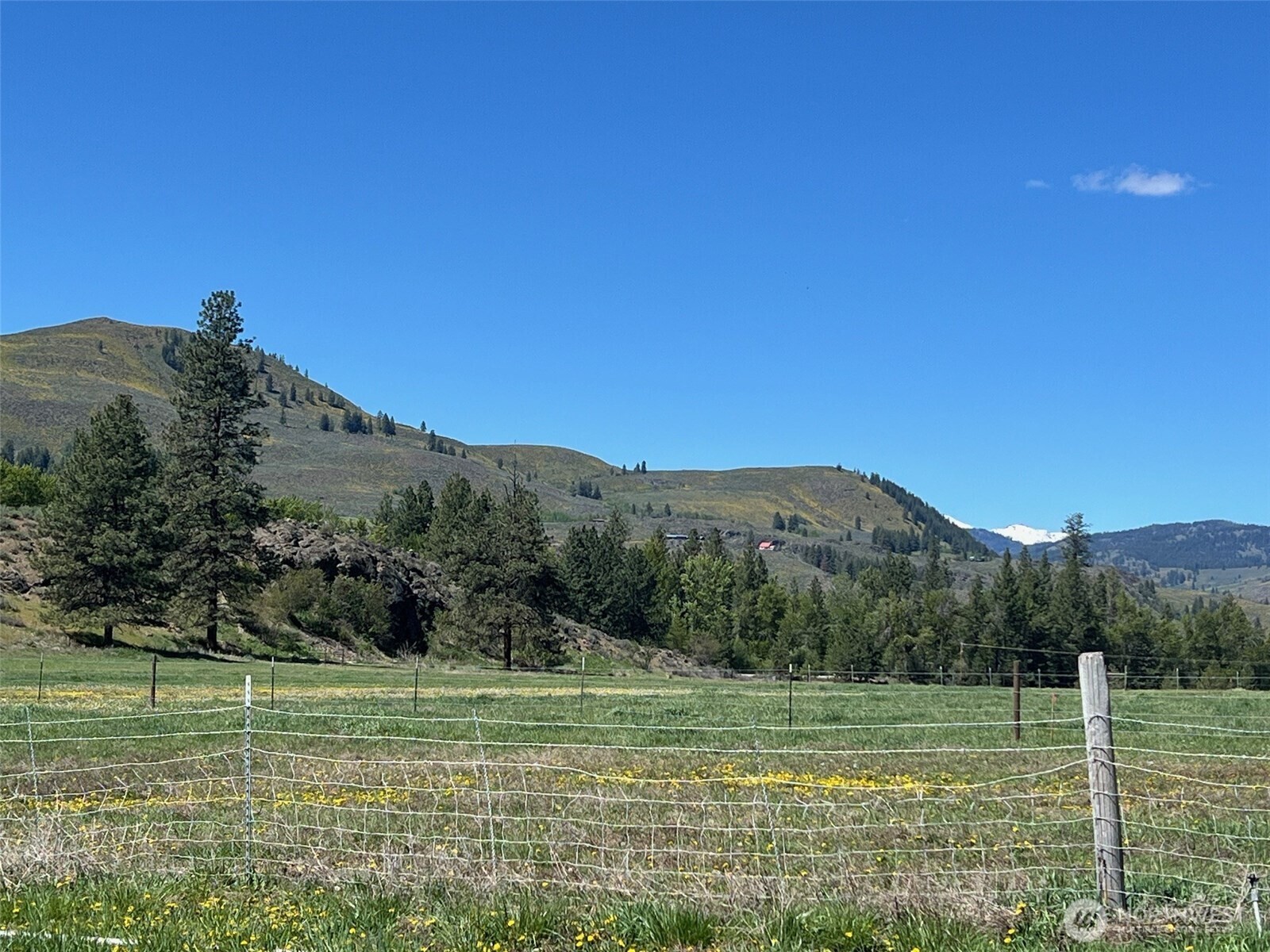 364 East Chewuch Road Winthrop, WA 98862 - Photo 9 of 40 Gallery Image 9