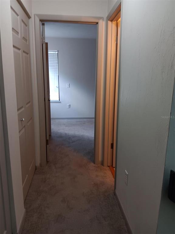 4419 Southwest 20th Lane Gainesville, FL 32607 - Photo 16 of 24
