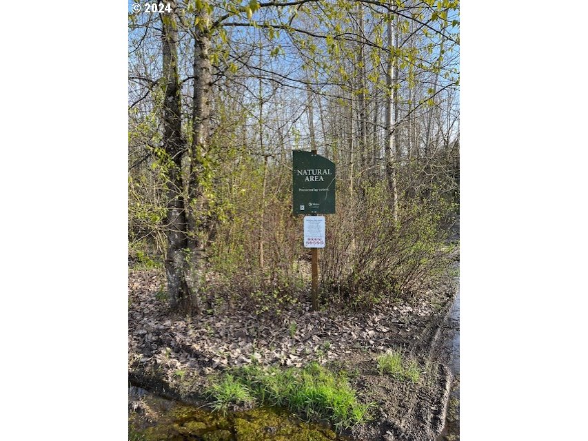 1520 Main Street Forest Grove, OR 97116 - Photo 35 of 37