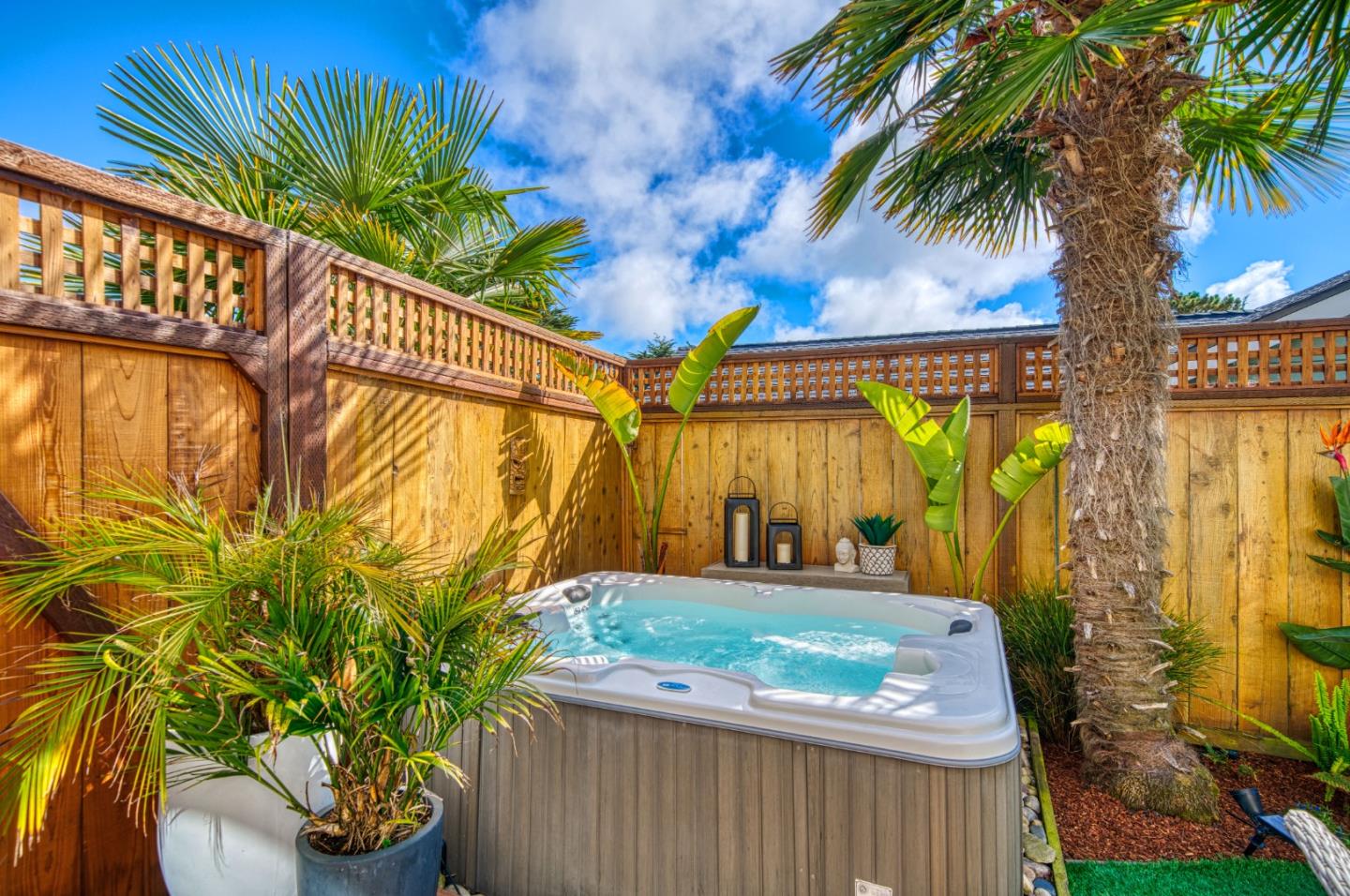 388 Greenbrier Road Half Moon Bay, CA 94019 - Photo 37 of 46 a view of a backyard with plants