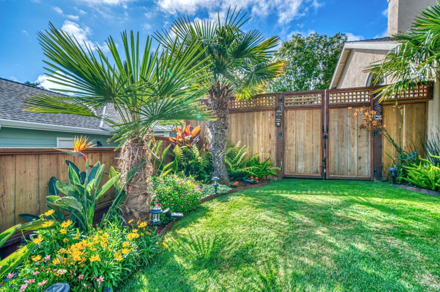 388 Greenbrier Road Half Moon Bay, CA 94019 - Photo 38 of 46 a view of a backyard with plants