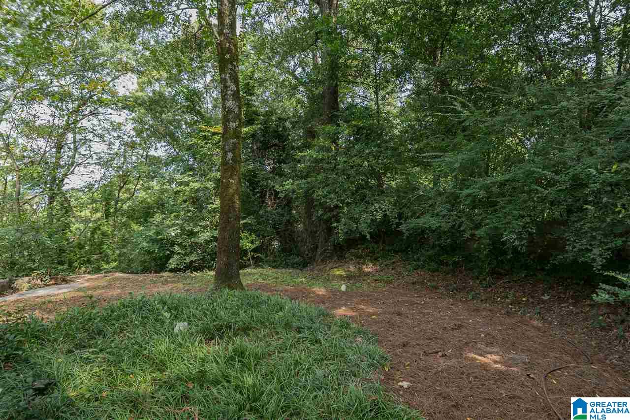 1320 Shades Crest Road Birmingham, AL 35226 - Photo 33 of 34