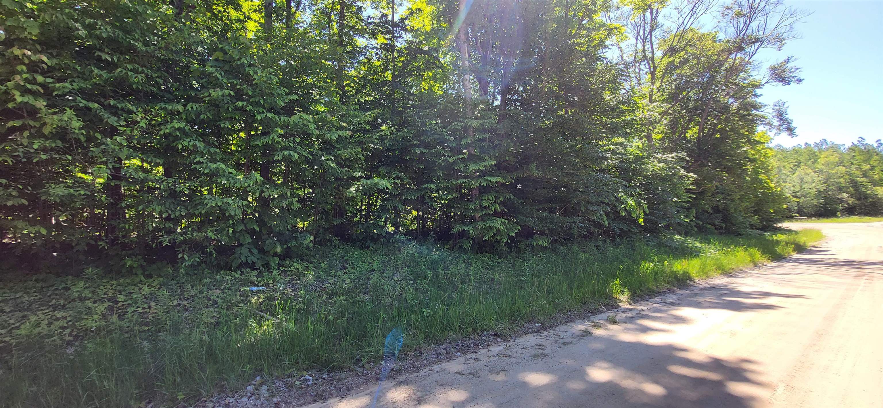 Tbd Bocook Road Mancelona, MI 49659 - Photo 2 of 46