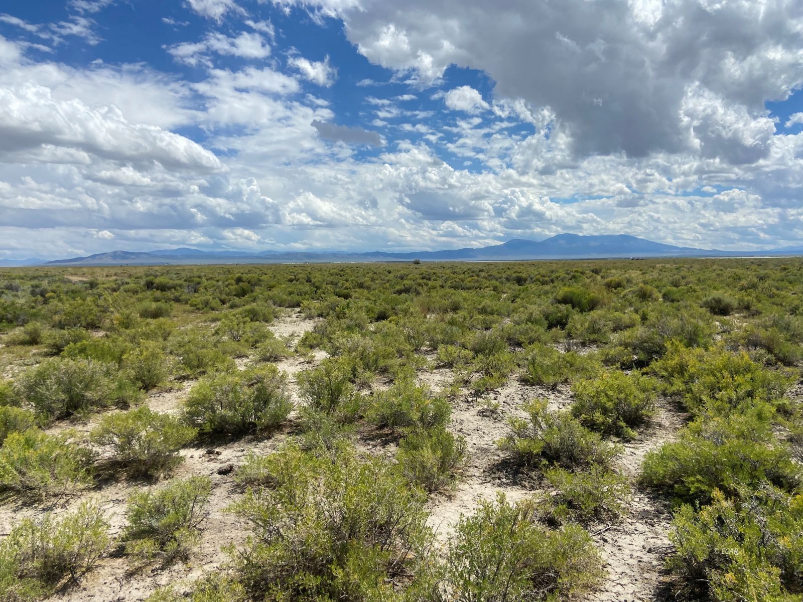 Tbd South Clover Valley Road Wells, NV 89835 - Photo 5 of 13