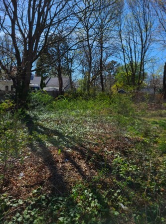 15 Baxter Road Barnstable, MA 02601 - Photo 9 of 22