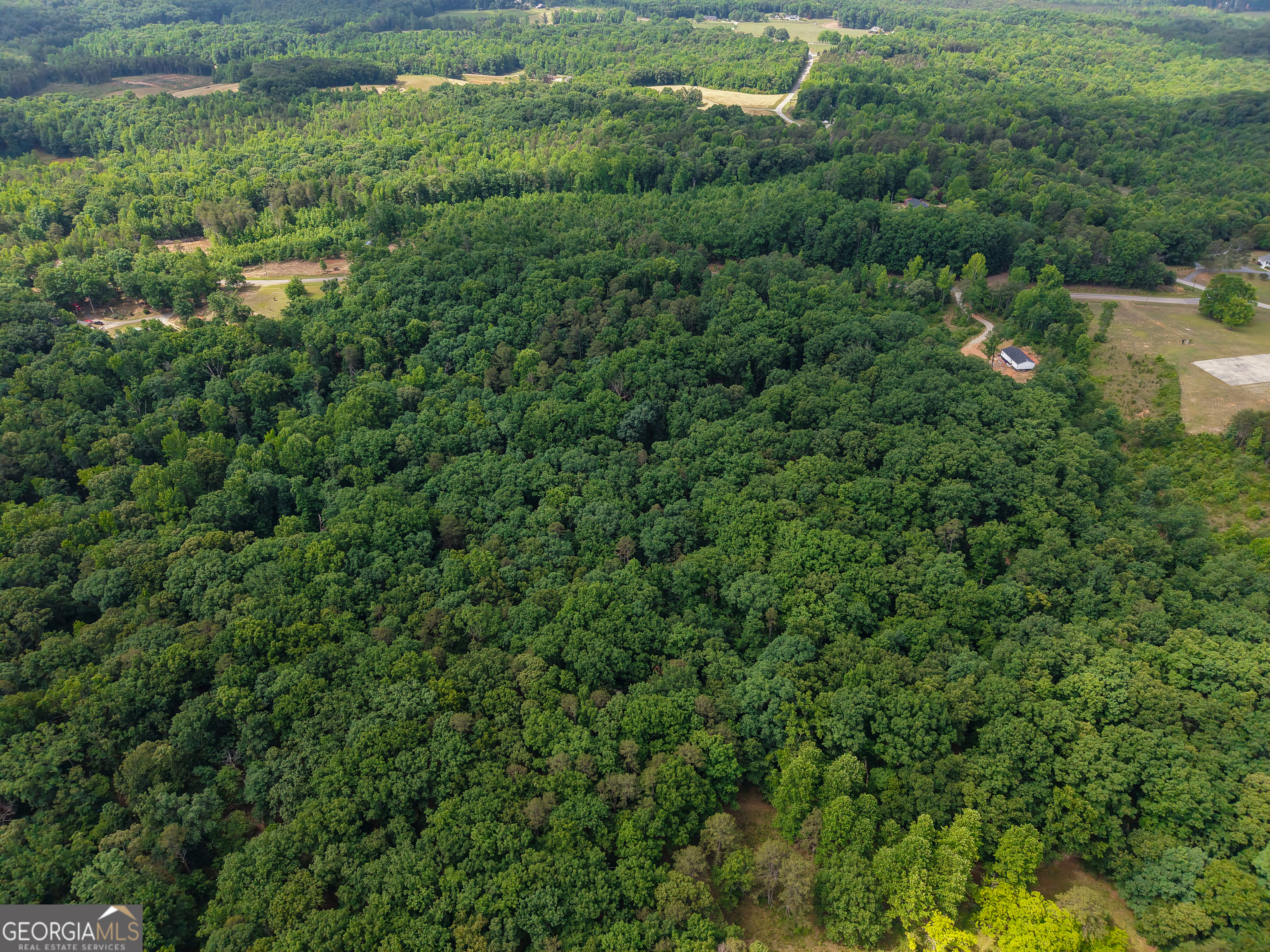 0 Murray Road Homer, GA 30547 - Photo 4 of 28
