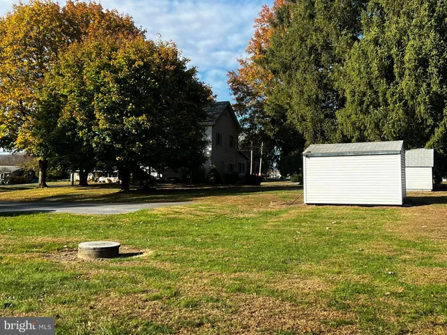 a view of a tree with a yard