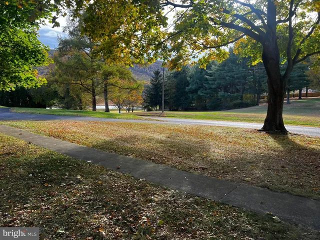 a view of a yard with a large trees