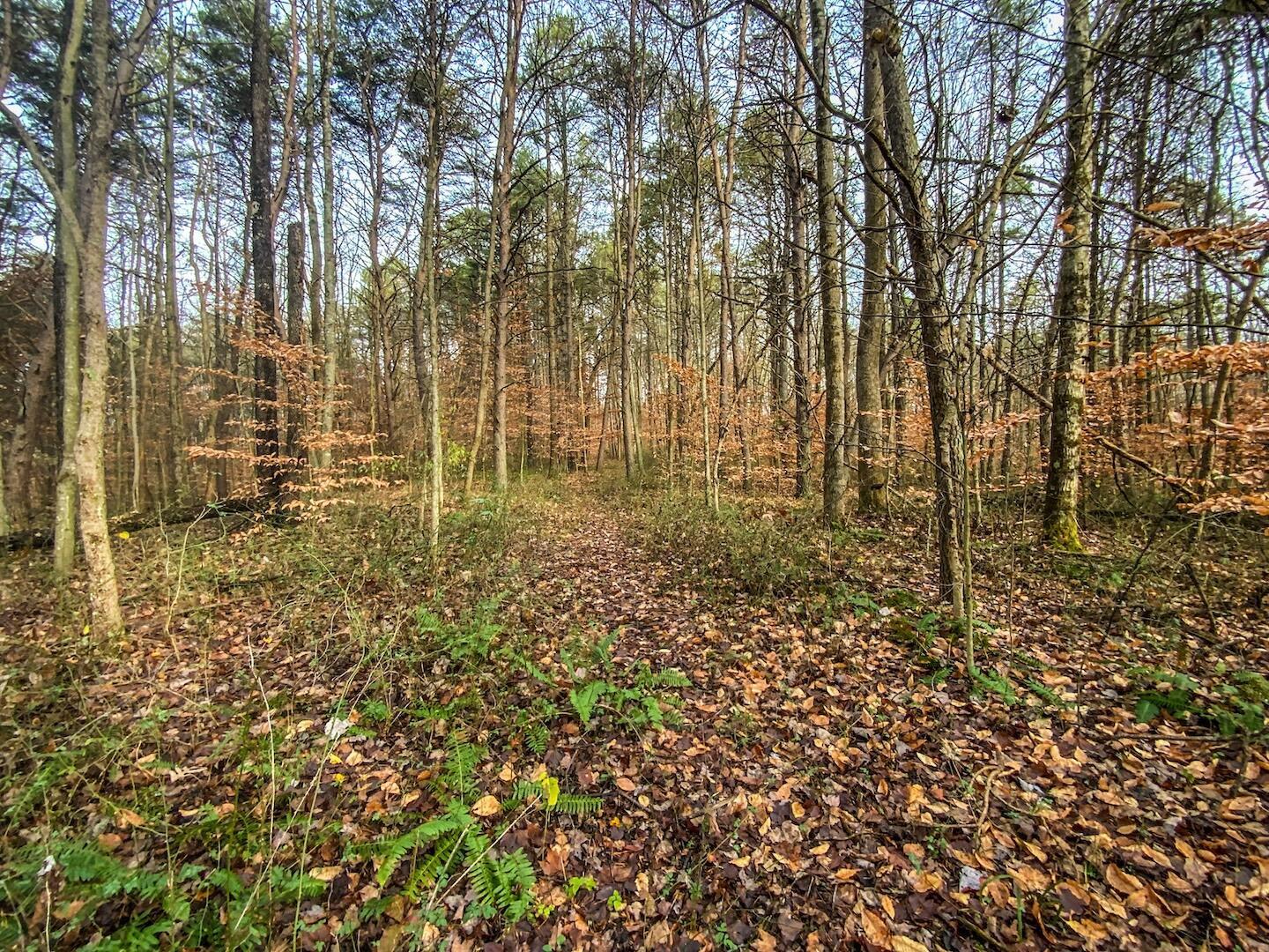 20088 Rauber Road Logan, OH 43138 - Photo 14 of 31 54