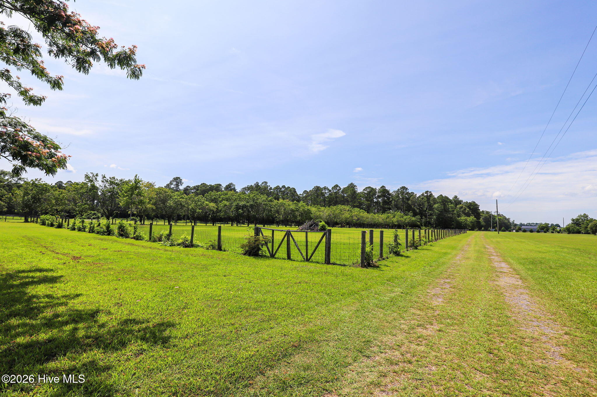 248 Mt Calvary Road Trenton, SC 29847 - Photo 30 of 34