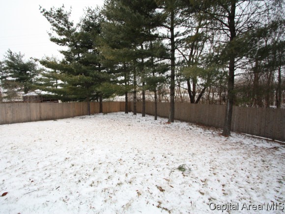 445 Armor Road Springfield, IL 62704 - Photo 12 of 14