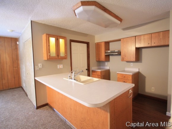 445 Armor Road Springfield, IL 62704 - Photo 3 of 14