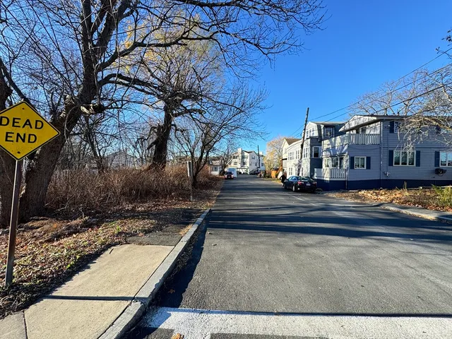 a view of yard with large trees