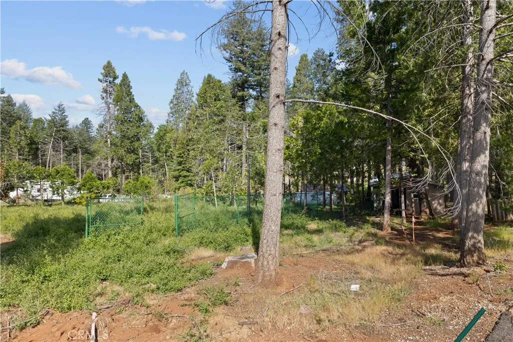 0 Jarvis Magalia, CA 95954 - Photo 4 of 9