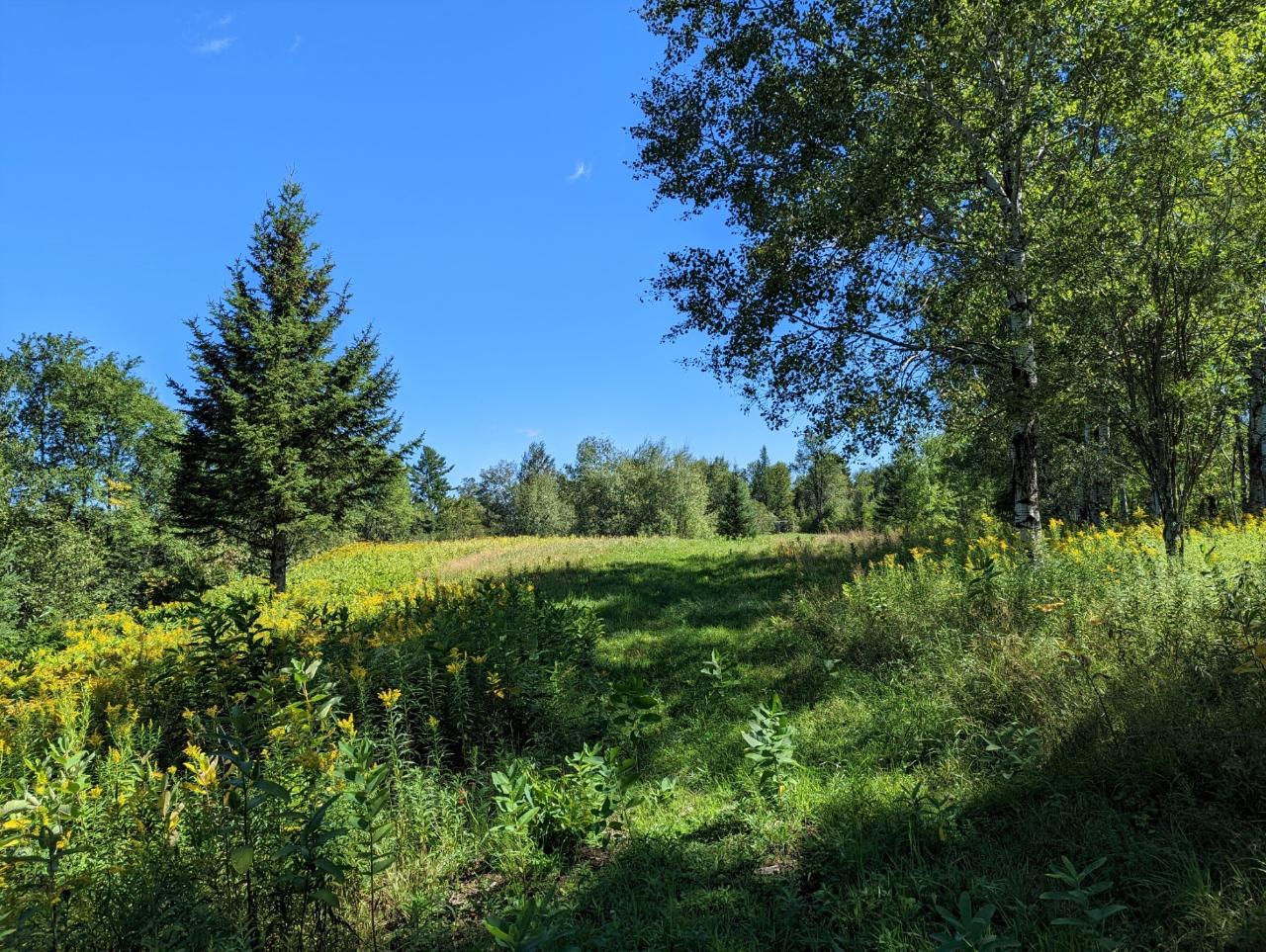 W5637 Colberg Road Ogema, WI 54459 - Photo 78 of 82 Gallery Image 78