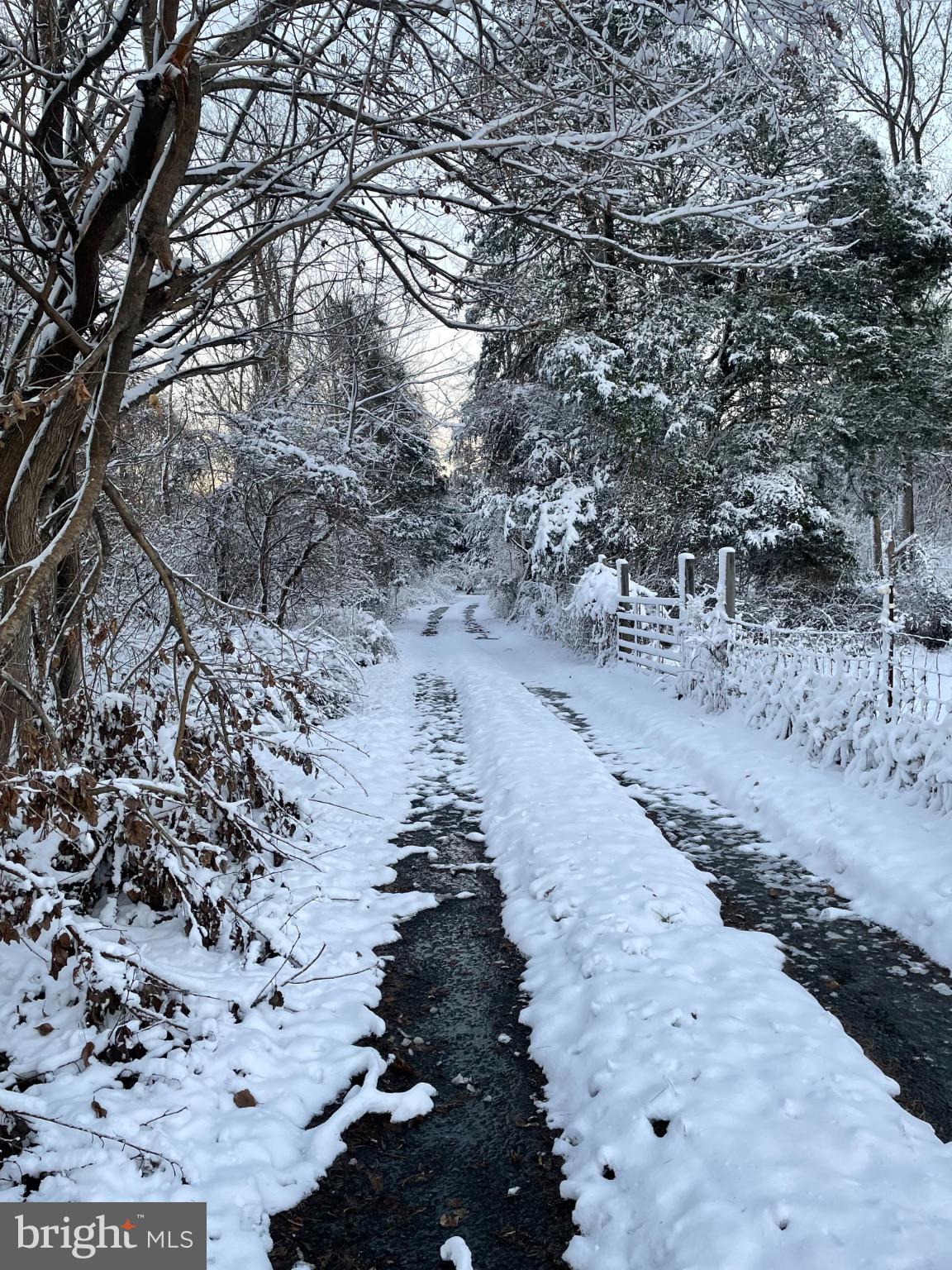 6127 Beverleys Mill Road Broad Run, VA 20137 - Photo 28 of 28 Driveway in the snow..