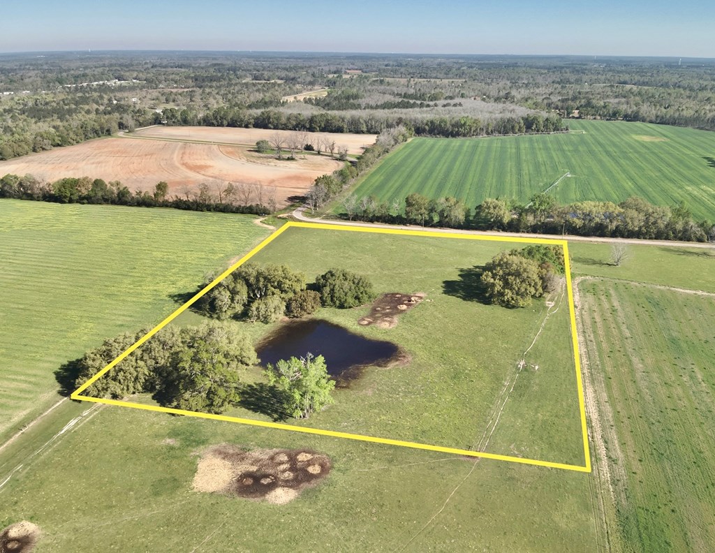 11.2-acres Ramer Loop Cottonwood, AL 36320 - Photo 6 of 15 Gallery Image 6