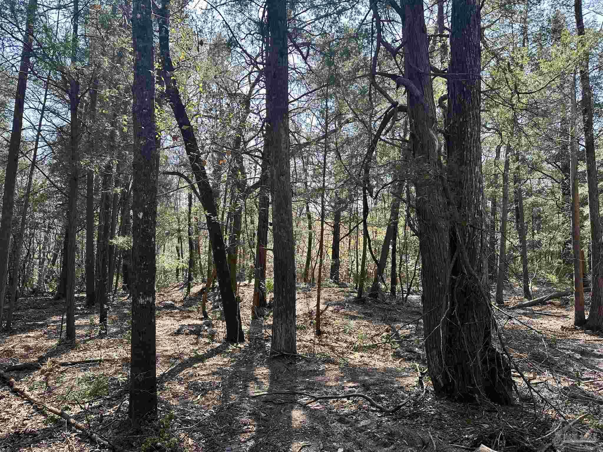 3700 Vantage Road Cantonment, FL 32533 - Photo 3 of 22
