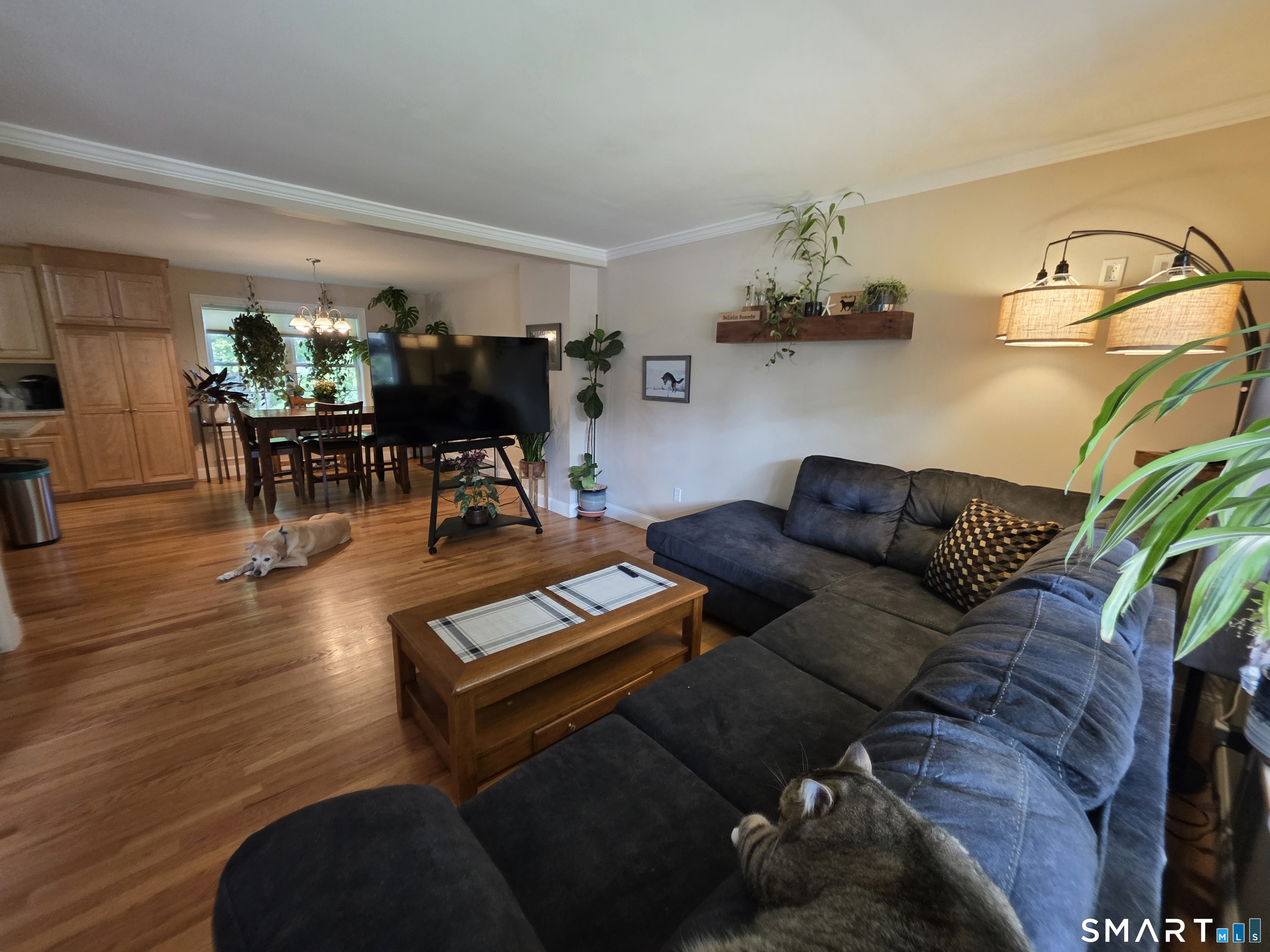 71 Lakeview Road Plymouth, CT 06786 - Photo 9 of 31 Gallery Image 9