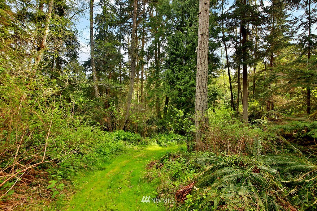 3731 East Harbor Road Langley, WA 98260 - Photo 11 of 21 a view of a garden