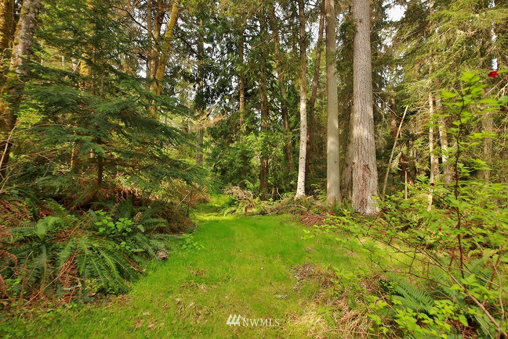 3731 East Harbor Road Langley, WA 98260 - Photo 12 of 21 a view of yard with green space
