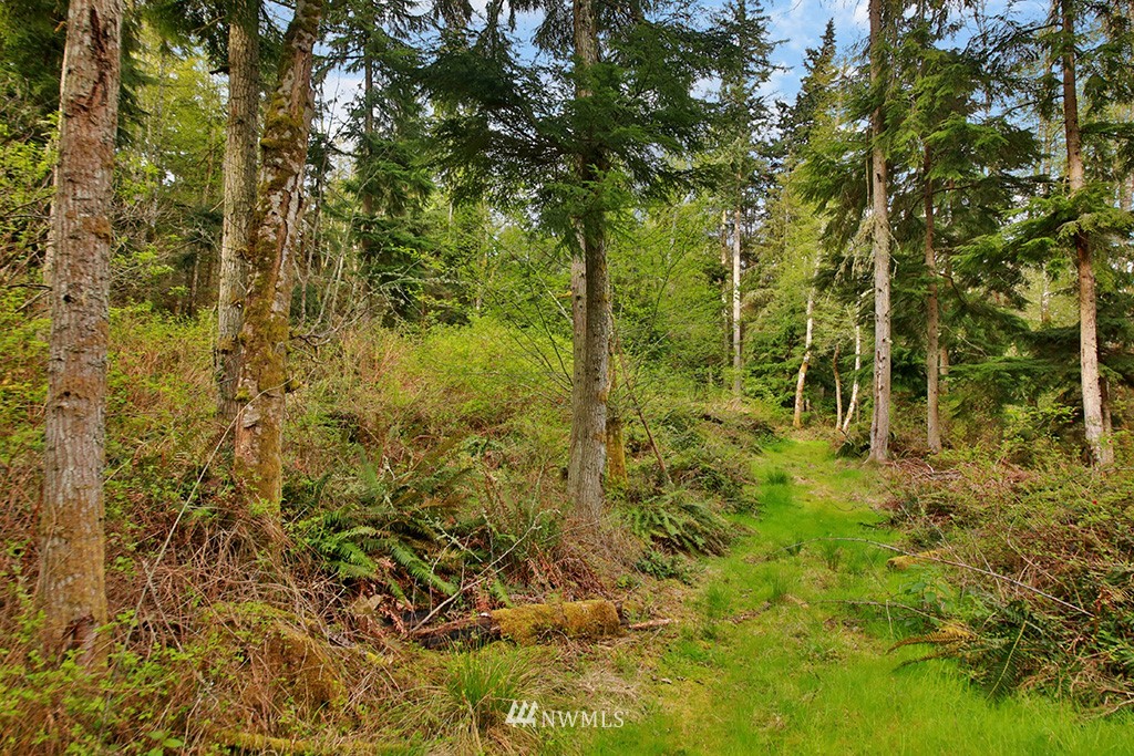 3731 East Harbor Road Langley, WA 98260 - Photo 13 of 21 a view of outdoor space and a yard