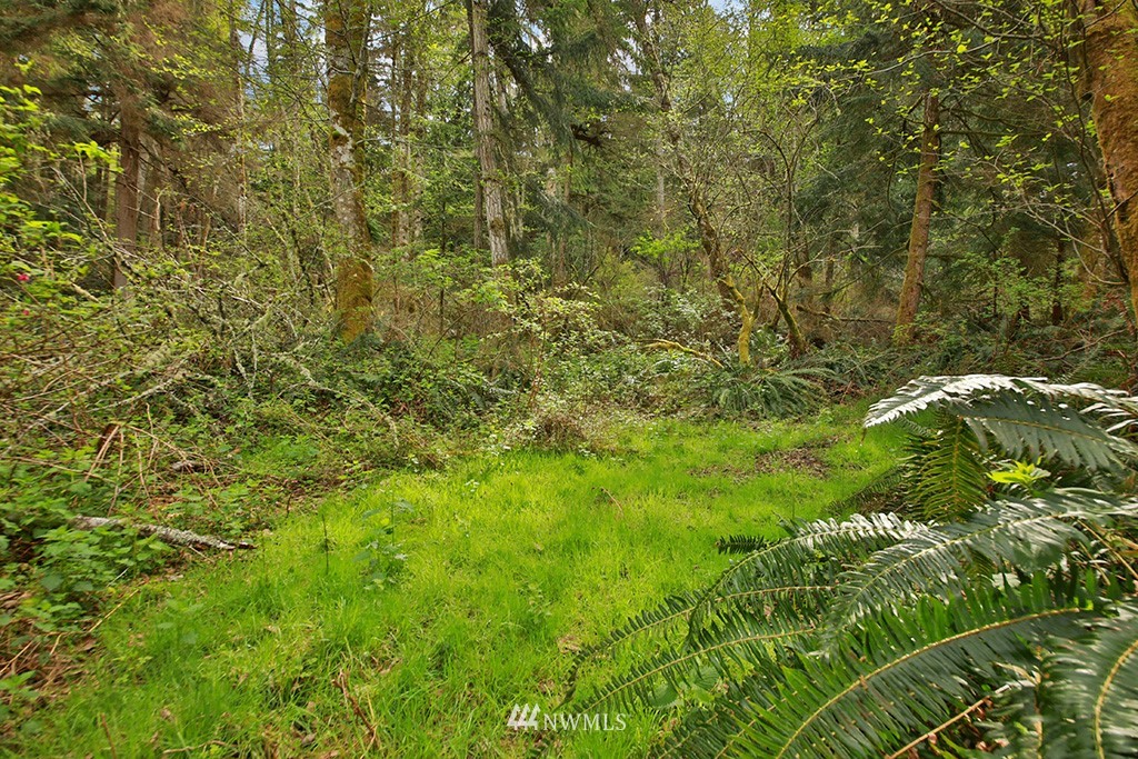 3731 East Harbor Road Langley, WA 98260 - Photo 18 of 21 a view of a lush green forest
