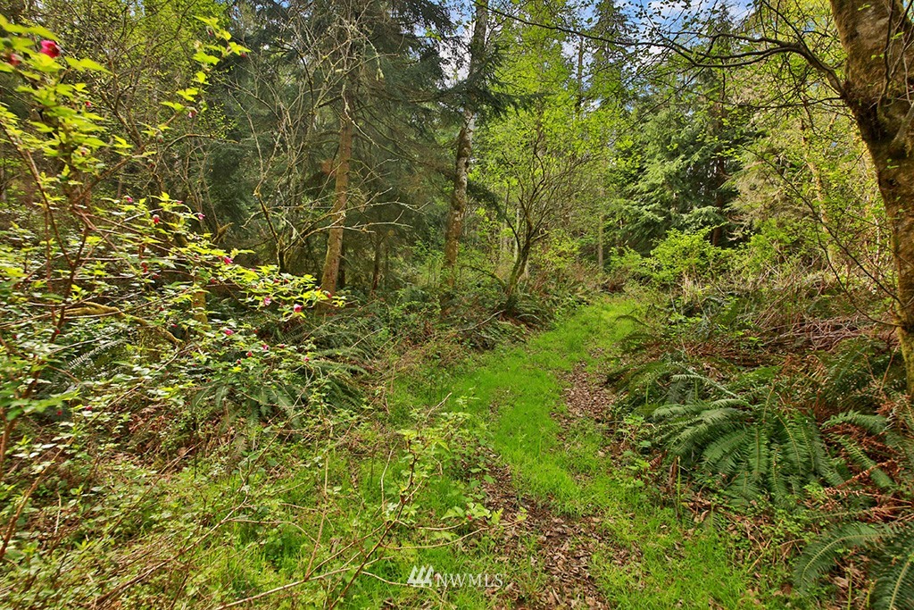 3731 East Harbor Road Langley, WA 98260 - Photo 19 of 21 a view of a tree