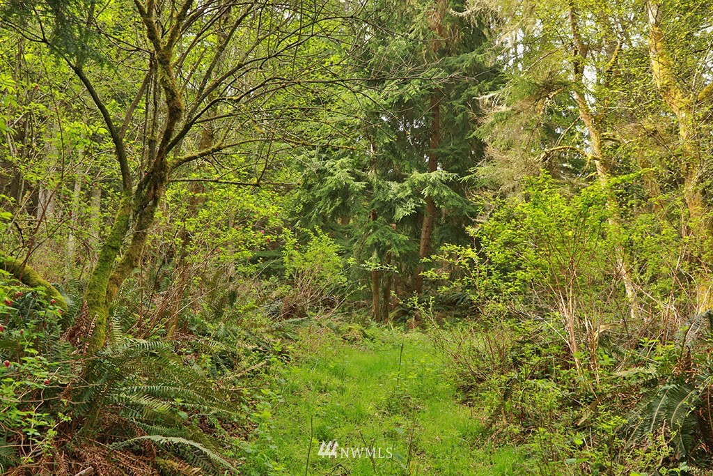 3731 East Harbor Road Langley, WA 98260 - Photo 20 of 21 a view of a large yard with lots of bushes
