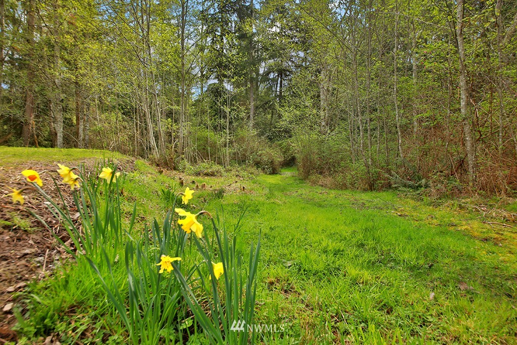 3731 East Harbor Road Langley, WA 98260 - Photo 7 of 21 a view of a yard with plants