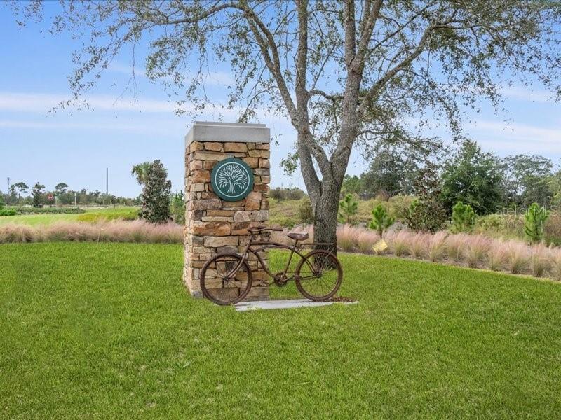 1943 Seawall Way Celebration, FL 34747 - Photo 20 of 20