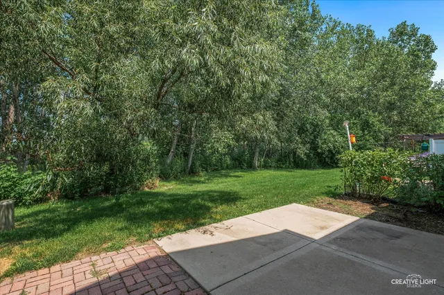 a view of a park with plants and trees