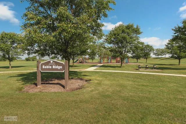 a view of a park with large trees