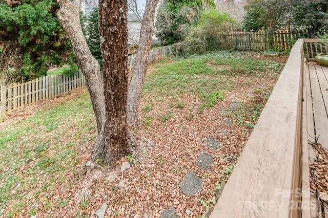 a view of backyard with tree
