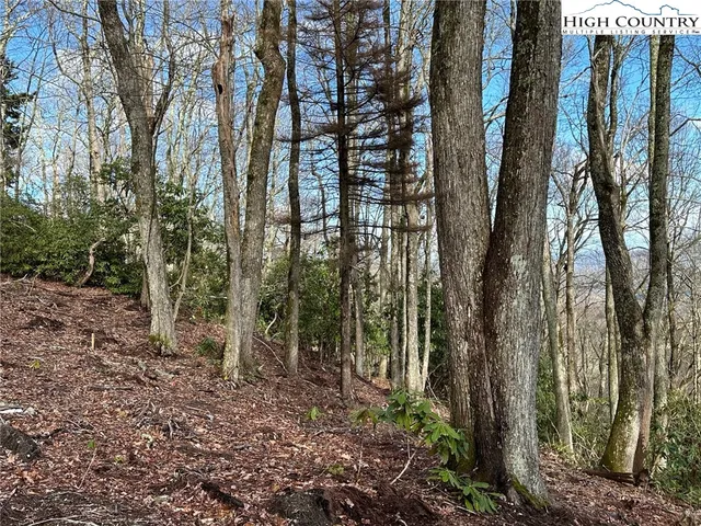 $69,900 | 5071 Little Mountain Drive, Blowing Rock, NC 28605