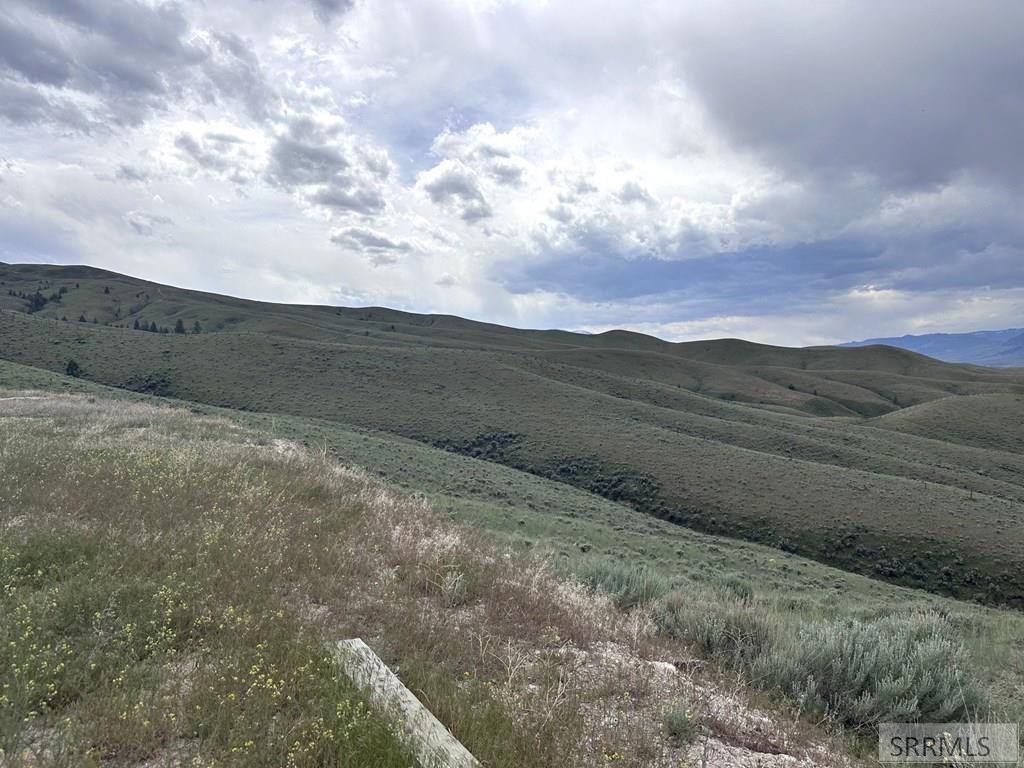 381 Carmen Creek Road Carmen, ID 83462 - Photo 43 of 54