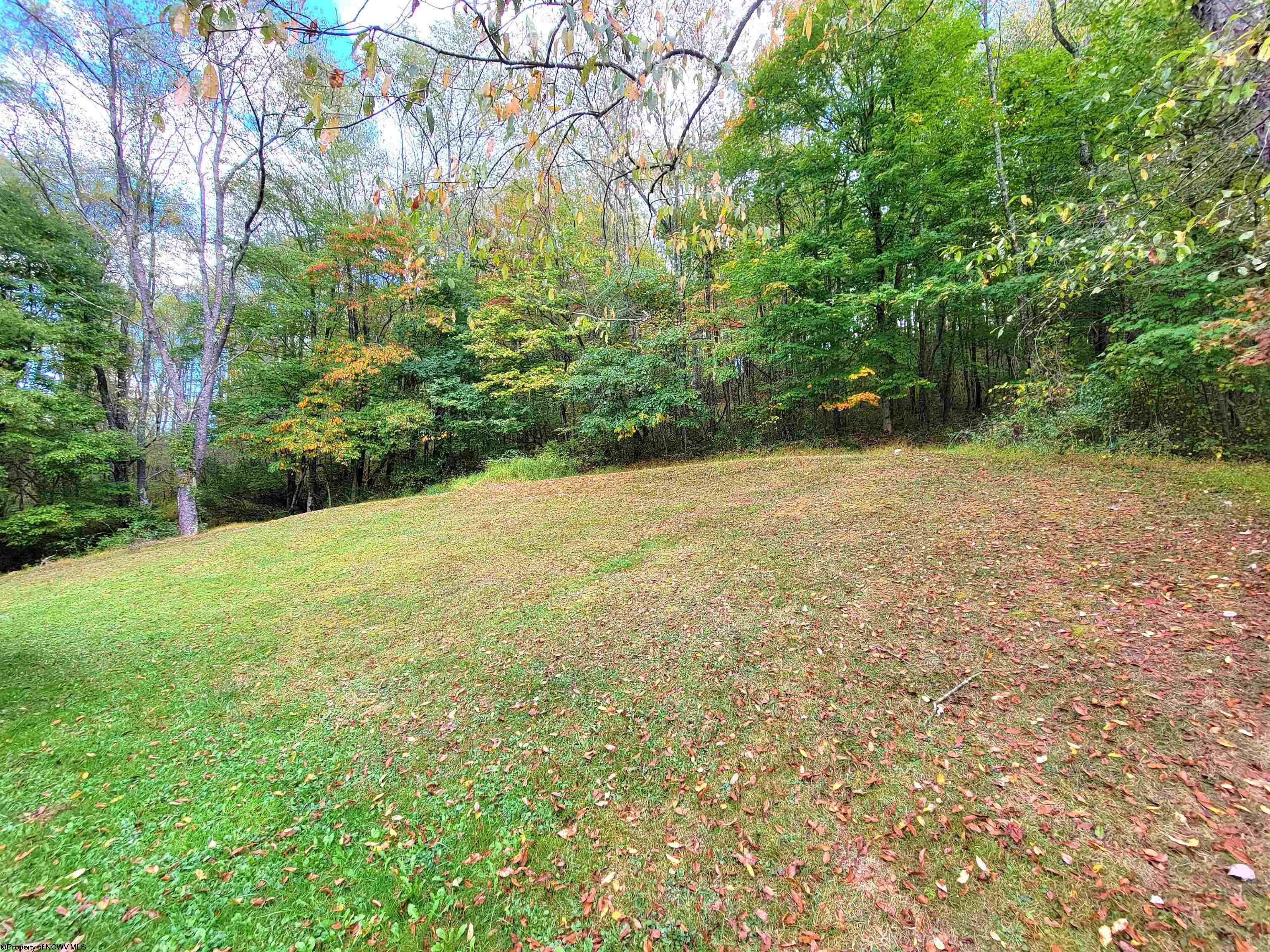 3818 Little Sandy Road Bruceton Mills, WV 26525 - Photo 17 of 17 Gallery Image 17