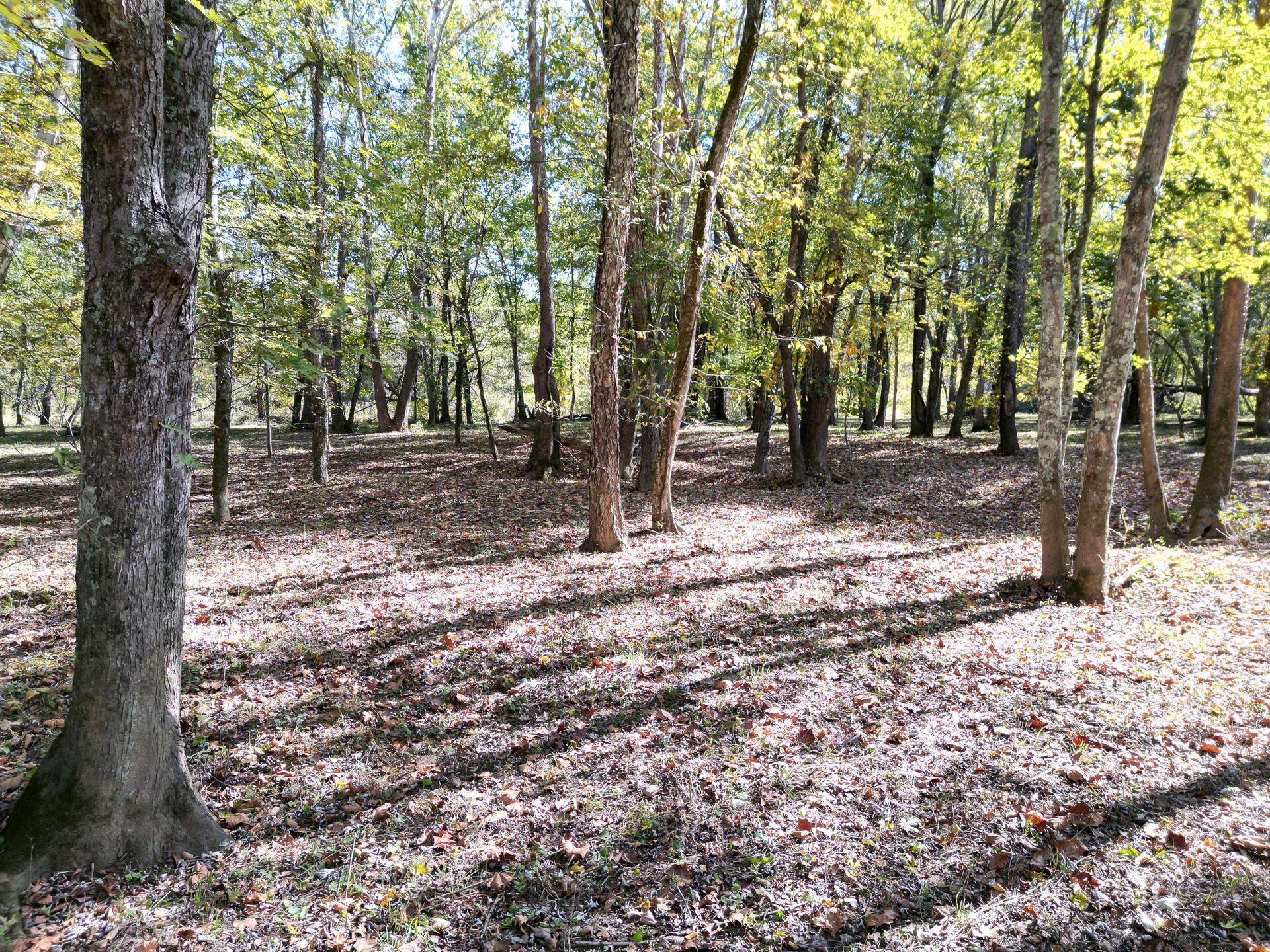1462 Keystone Road, Unit RACCOON CREEK ADVENTURES) Vinton, OH 45686 - Photo 13 of 69
