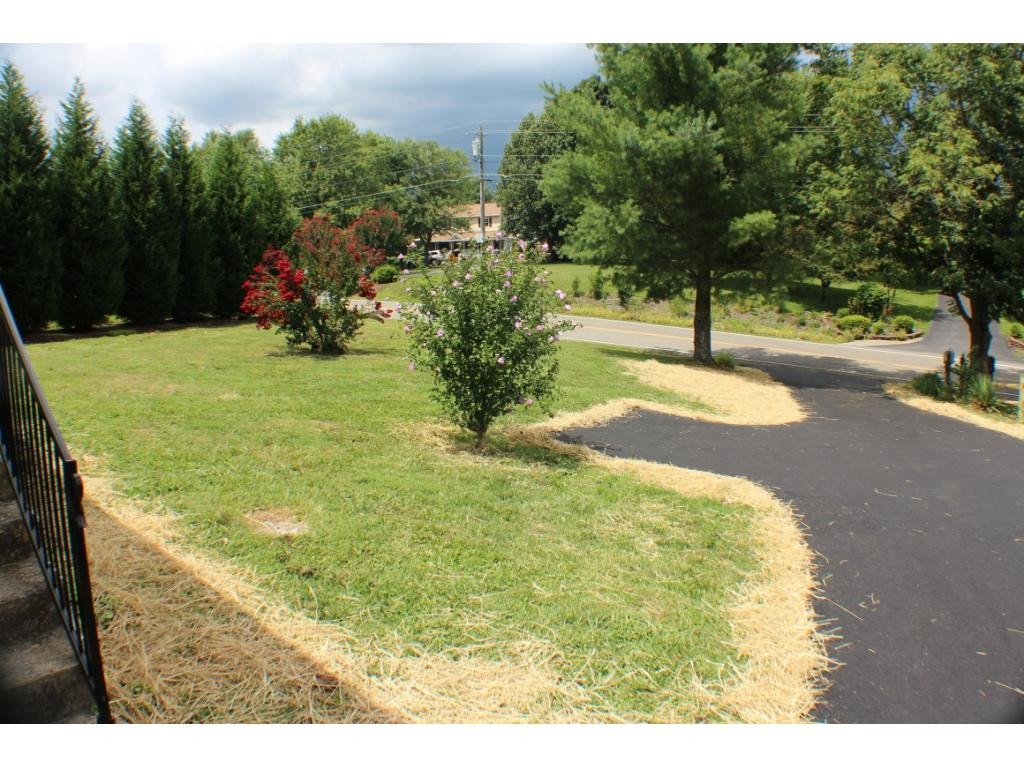 1218 White Top Road Bluff City, TN 37618 - Photo 19 of 20 Front Yard