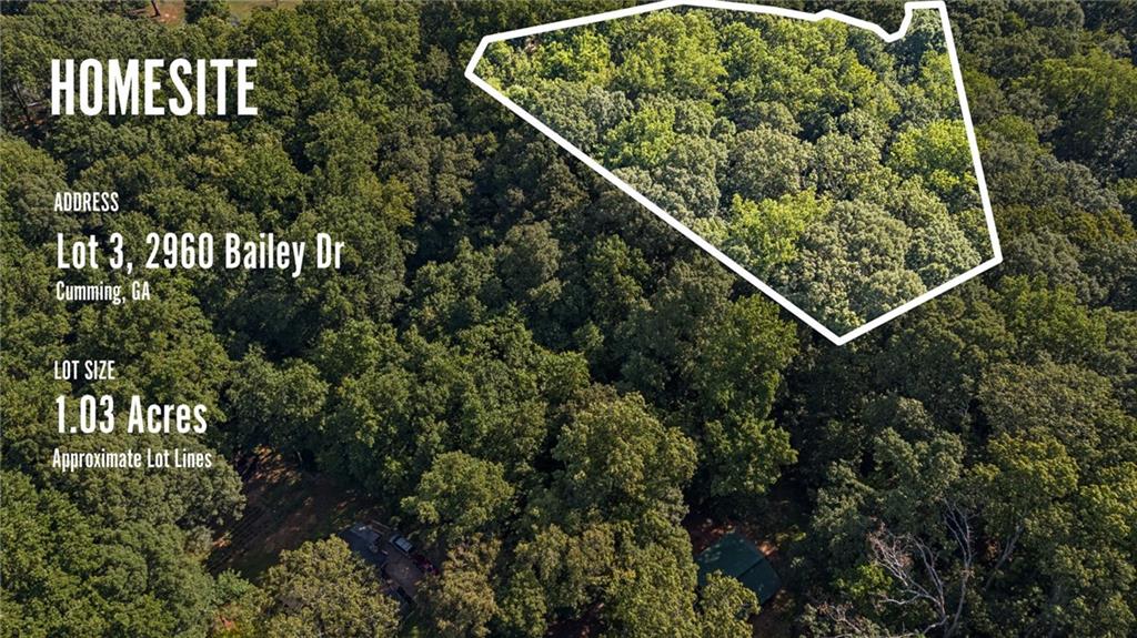 2955 Bailey Drive Cumming, GA 30040 - Photo 13 of 18 a view of a backyard