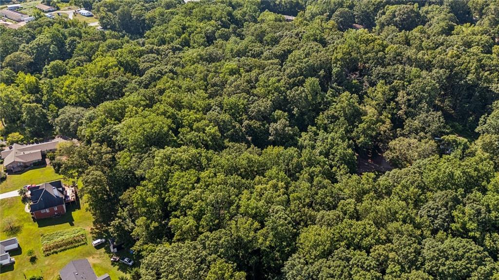 2955 Bailey Drive Cumming, GA 30040 - Photo 18 of 18 an aerial view of a house with a yard