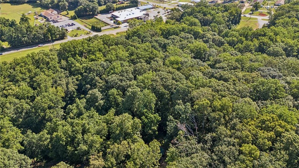 2955 Bailey Drive Cumming, GA 30040 - Photo 5 of 18 view of a lush green forest with lots of trees