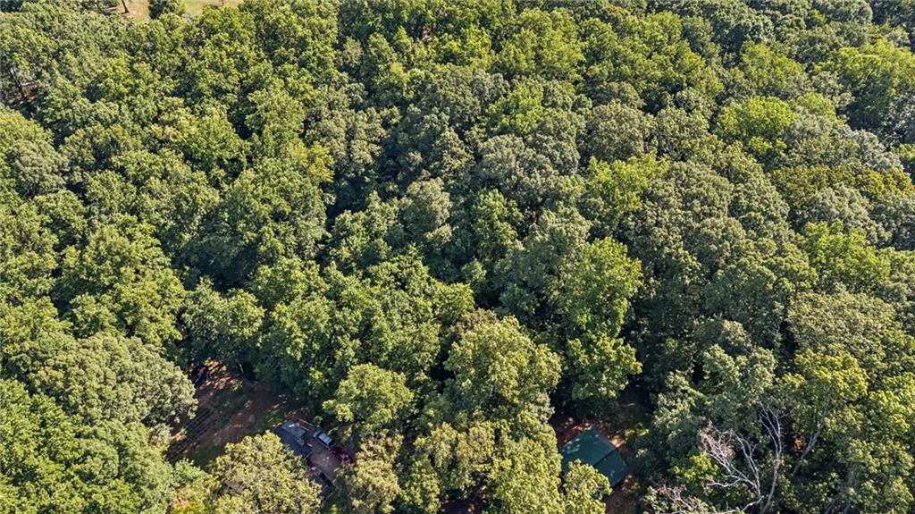2955 Bailey Drive Cumming, GA 30040 - Photo 6 of 18 a view of a lush green forest