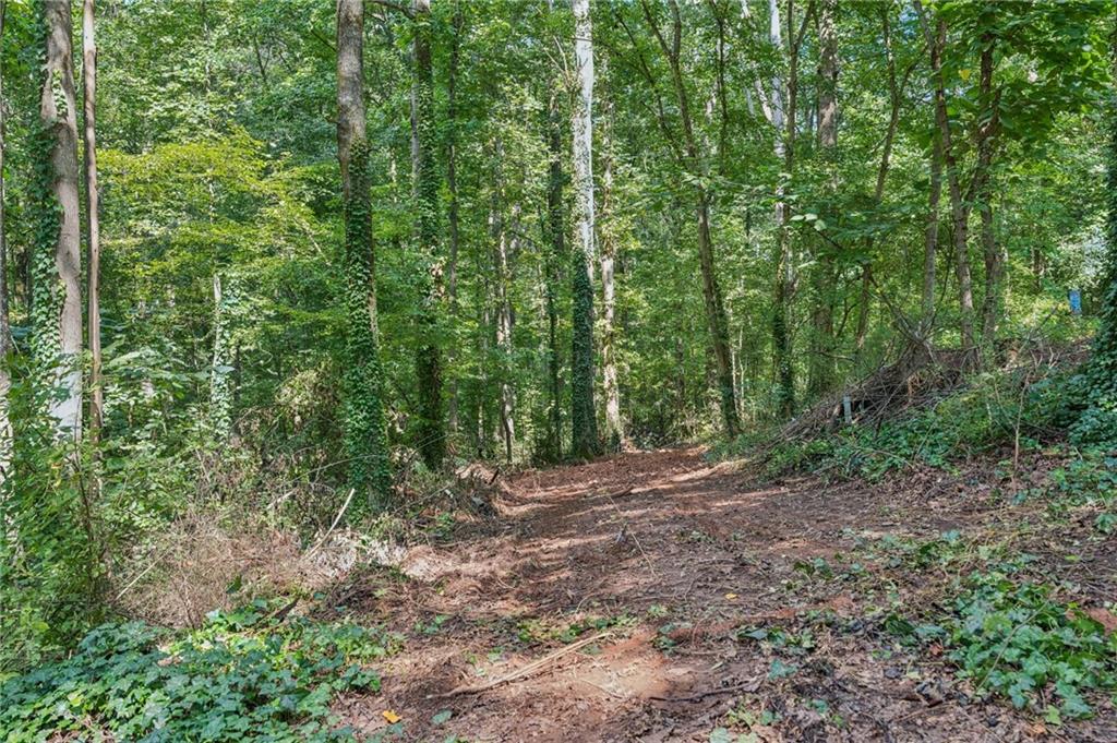 2955 Bailey Drive Cumming, GA 30040 - Photo 8 of 18 a view of a forest with trees in the background
