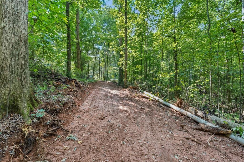 2955 Bailey Drive Cumming, GA 30040 - Photo 9 of 18 a view of a forest with trees in the background