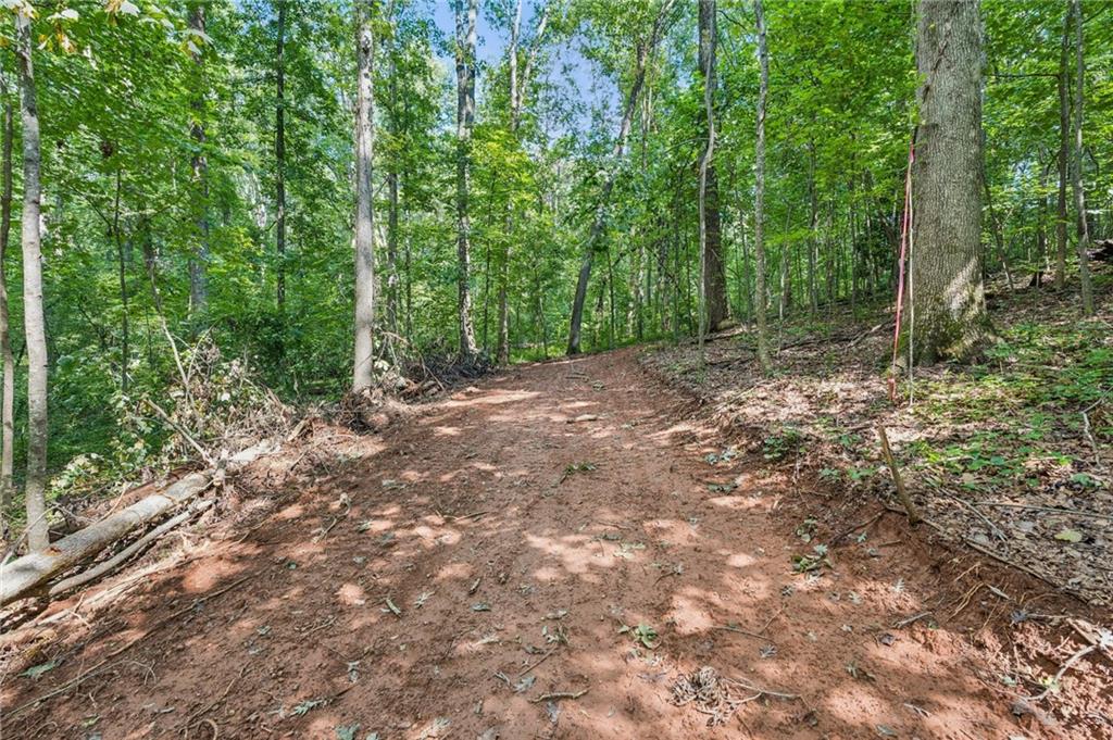 2955 Bailey Drive Cumming, GA 30040 - Photo 10 of 18 a view of a forest with trees
