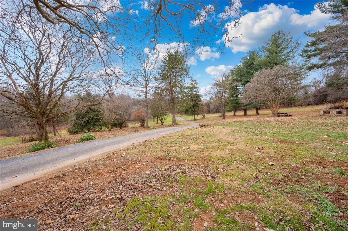 10891 Bethesda Church Road Damascus, MD 20872 - Photo 39 of 51 a view of dirt yard with a large tree